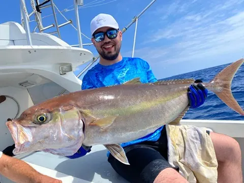 Amberjack catch
